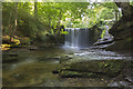 Nant Mill woods