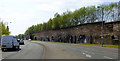 Laurieston Road Railway arches