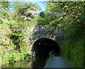 The south portal of the Falkirk Tunnel