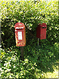 TM0580 : Low Common George V  Postbox & Birdbox by Geographer