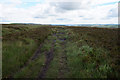 SE0413 : Colne Valley Circular Walk on Slaithwaite Moor by Ian S