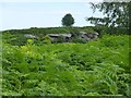 Crags on Doddington North Moor