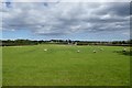 Farmland off Swinhoe Road