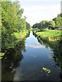 Sun  and  reflections  on  Market  Weighton  Canal  Newport