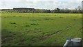 Field on Backwell Hill