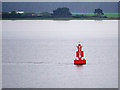 NO4729 : Tay Estuary, Larick Scalp Marker Buoy by David Dixon