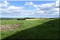 Fields near Embleton