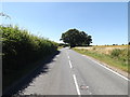 TM0374 : Bury Road, Rickinghall by Geographer