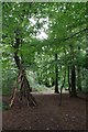 Remains of a Den in Ainslie Wood