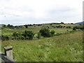 View east along the floor of the Burren Valley