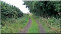 Heading along bridleway towards Caunton