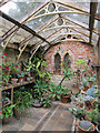 Greenhouse at Restoration House