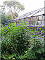 Greenhouse at Restoration House