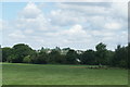 View of houses off Loughton Way from Roding Valley Nature Reserve