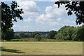 View towards Woodford from Roding Valley Nature Reserve