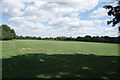 View across a field next to the path leading to Greensted Road