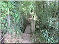 Footbridge on the path from Carlton towards Gildingwells