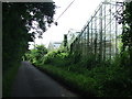 Disused Greenhouses