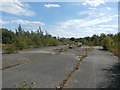 Waste Ground on the Site of Firbeck Colliery