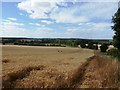 View from Salt Hill Bridleway