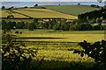 Mid Devon : Countryside Scenery