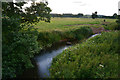 Mid Devon : River Creedy