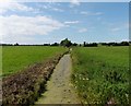 Rhyne on Tealham Moor