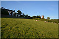 SS8403 : Mid Devon : Grassy Field by Lewis Clarke