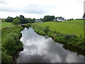 Camowen River, Donaghanie / Edenderry