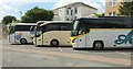 SX9164 : Coaches, Torquay coach station by Derek Harper