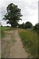 Footpath towards Great Barford