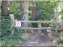 SU9486 : Permissive path into Dorney Wood from north by David Hawgood