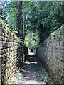 Sunken footpath at the Somerhill Schools