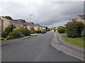 Delves Wood Road - viewed from Moor Park Avenue