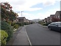 Delves Wood Road - looking towards Moor Park Avenue