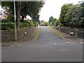 Westridge Drive - Beaumont Park Road