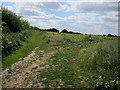 Footpath from Vicarage Road