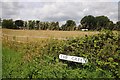 The Green near Wayfield Farm