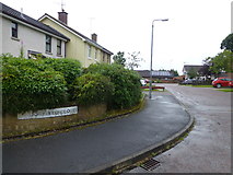 H4372 : Brookfield Close, Culmore, Omagh by Kenneth  Allen