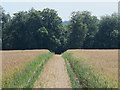 TQ6145 : Path through farmland northwest of Park Farm by Mike Quinn
