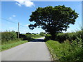 Minor road from Shipton Moyne to Malmesbury