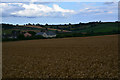 Mid Devon : Crop Field