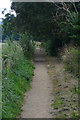 Crediton : Footpath