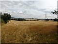 Crop Fields near Bassingthorpe Farm