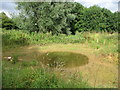 Small pond in Bottesford Beck Linear Park