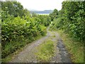 The walk way from Carrick Castle to Ardentinny