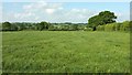ST8125 : Grass field near Gillingham by Derek Harper