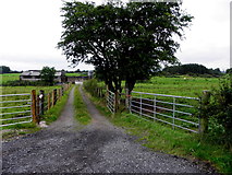 H5574 : Lane, Mullaghslin Glebe by Kenneth  Allen