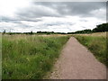 SE3827 : Public footpath, western perimeter, St Aidan's by Christine Johnstone