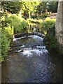 Weir at Egypt Mill